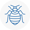 Bed Bug Extermination In Darlaston